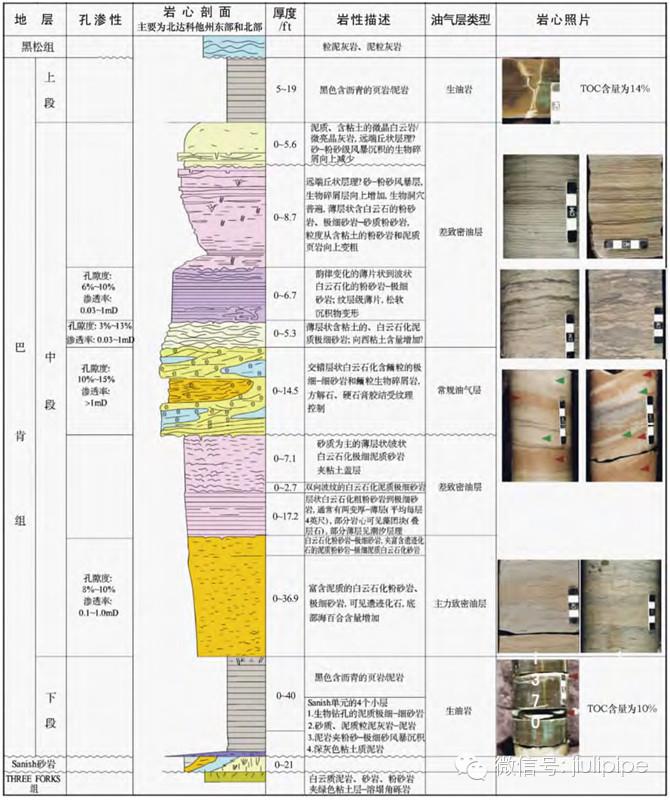 三大非常规油气领域的地质学解读(二-页岩油气,致密油气和煤层气
